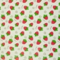 Preview: Folie | Regensburg | Print Erdbeeren transparent