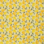 Preview: Baumwolle | FRUITS | Birnen Blaubeeren