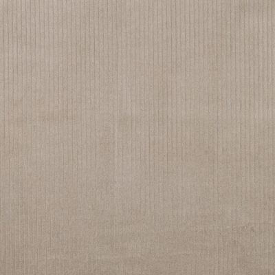 Trend Cord | Sand Beige