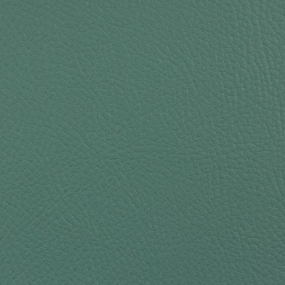 Kunstleder | REX | Mint