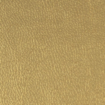 Kunstleder | REX | Gold metallic