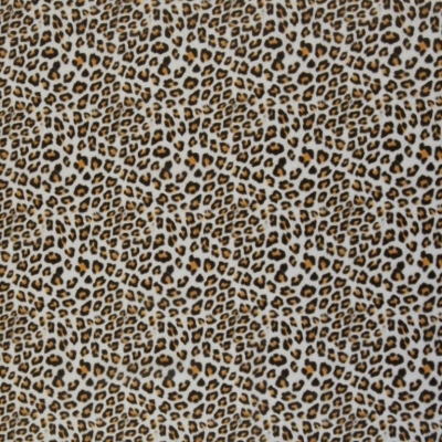 Folie | Regensburg | Leo Print transparent