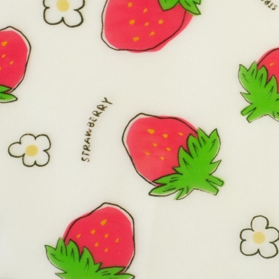 Folie | Regensburg | Print Erdbeeren transparent