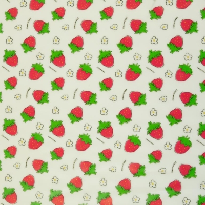 Folie | Regensburg | Print Erdbeeren transparent
