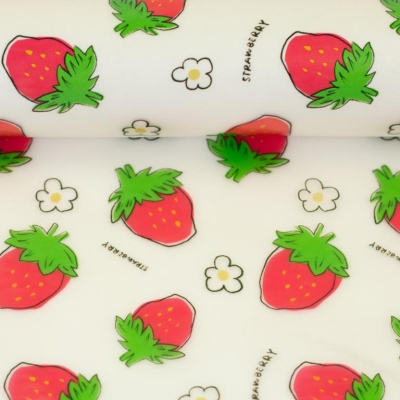 Folie | Regensburg | Print Erdbeeren transparent