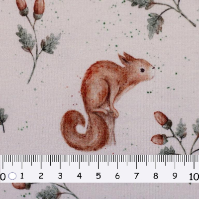 Jersey | Life in the Forest | Eichhörnchen Ecru