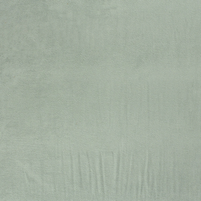 Frottee Jersey | Baby | Mint