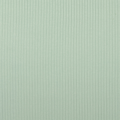 Rippjersey | LAAR | Mint