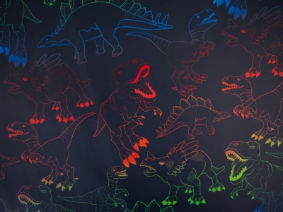 Raincoat | Jackenstoff Regendorf | Dinos bunt