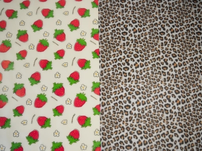 Folie | Regensburg | Leo Print transparent