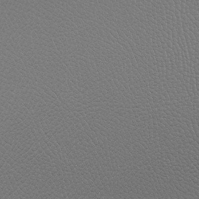 Kunstleder | REX | Grau