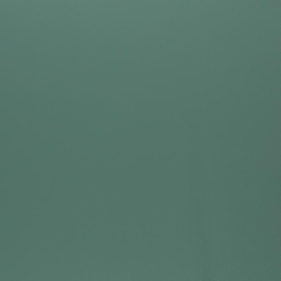 Kunstleder | REX | Mint