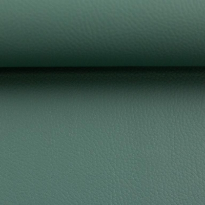 Kunstleder | REX | Mint
