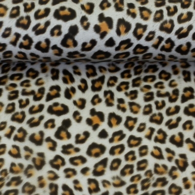 Folie | Regensburg | Leo Print transparent