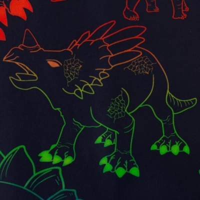 Raincoat | Jackenstoff Regendorf | Dinos bunt