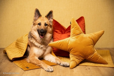 Samt | KOBE | Altrosa