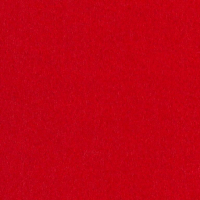 Filz Taschenfilz | BASTIAN | rot