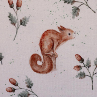 Jersey | Life in the Forest | Eichhörnchen Ecru